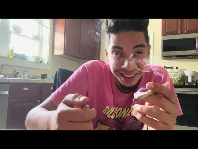 Toasty’s Marshmallow Popers Review A Boogie brand weed Canna Loops