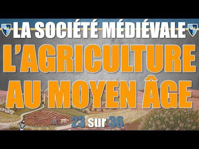 Société médiévale - 23 L'agriculture au Moyen Âge