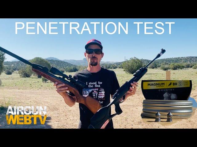 PENETRATION TEST - Gamo Swarm Magnum .22 VS Gamo Bone Collector Swarm .22