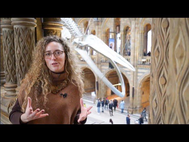 Curiosities of the Natural History Museum London - Episode 1