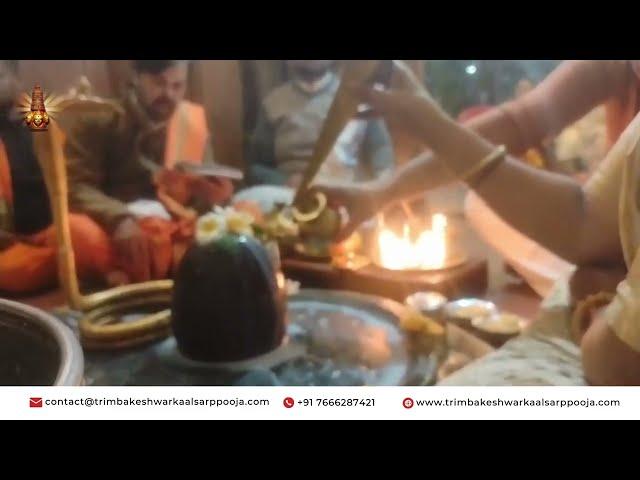 Best Pandit for Kalsarp Puja in Trimbakeshwar | Pandit Rishikesh Guruji 7666287421 #kalsarp #guruji