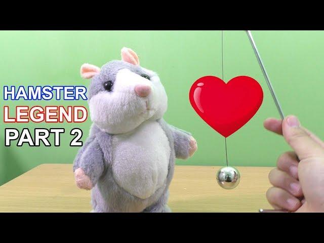 KOMPILASI VIDEO LUCU HAMSTER LEGEND PART 2