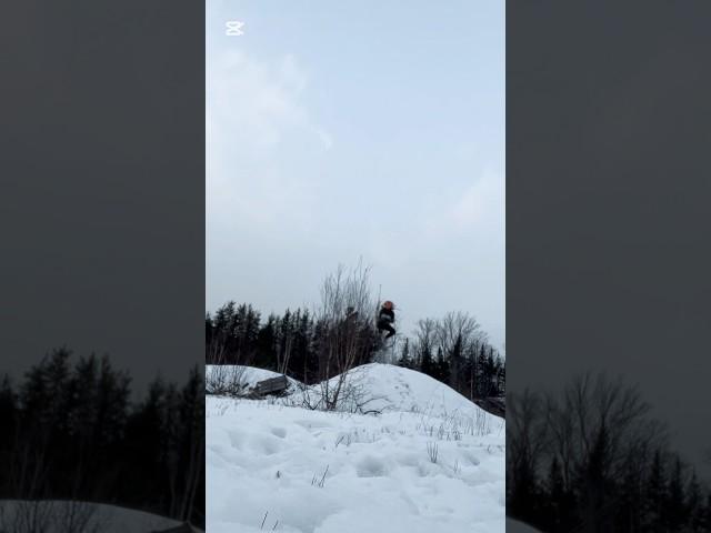 Snow  #foryou #therian #orangecat #quadrobics #snow #jump #nature #mask