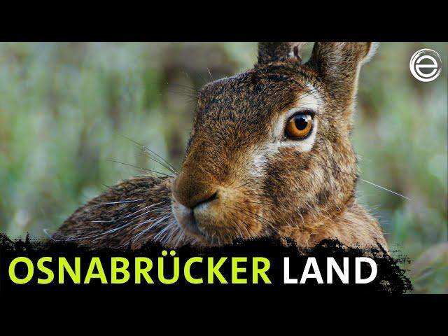 Das Osnabrücker Land | Erlebnis Erde