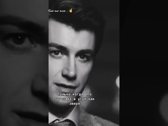 хороший человек становится плохим, когда его загоняют в угол #рек #смысл_цитаты #правда