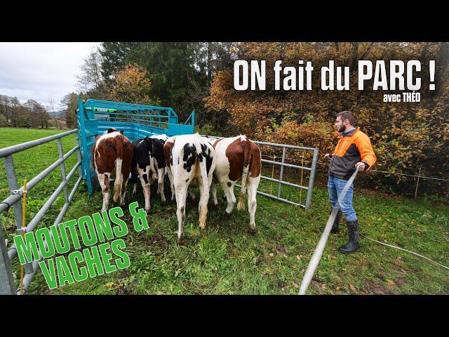  Théo met des MOUTONS dans ses CHAMPS & ON fait du PARC et de la BÉTAILLÈRE 