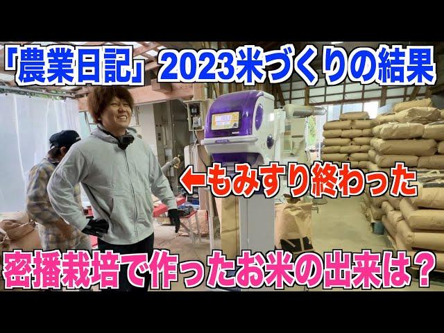 【農業日記】2023密播の出来は？お米の食味計のデータなどをまとめました 30代米作り奮闘記#298