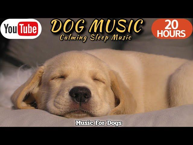 20 HOURS of Dog Calming MusicAnti Separation Anxiety MusicSoothing Music for dogs⭐Healingmate