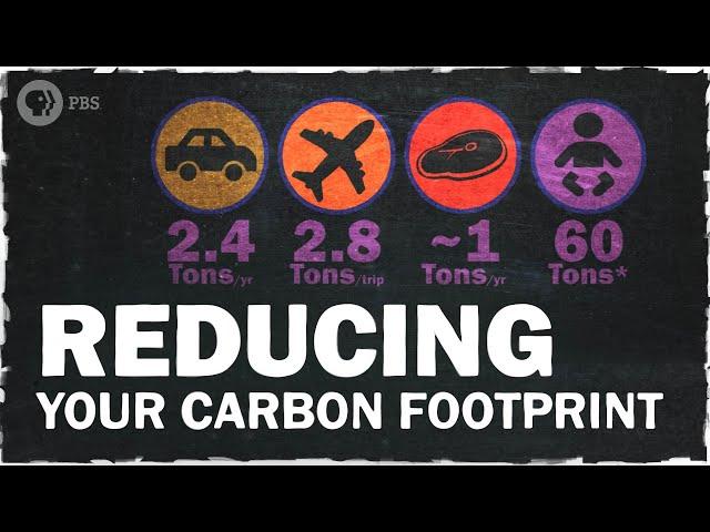 The Best Ways to Reduce Your Carbon Footprint | Hot Mess 