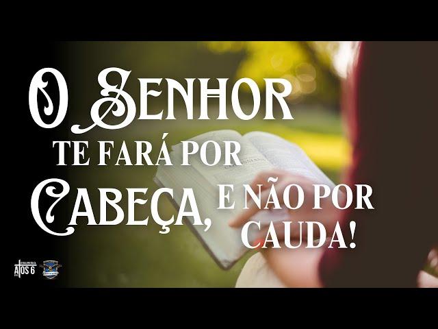 E o Senhor te fará por cabeça, e não por cauda! — Orações para o próximo nível de negócios! 