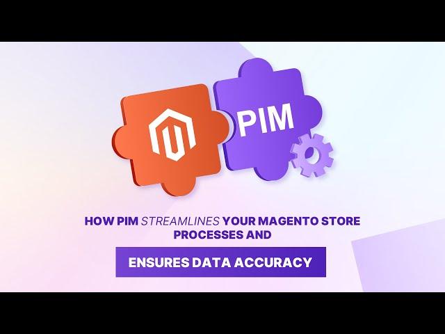 Choosing the Best Magento 2 PIM Integrations