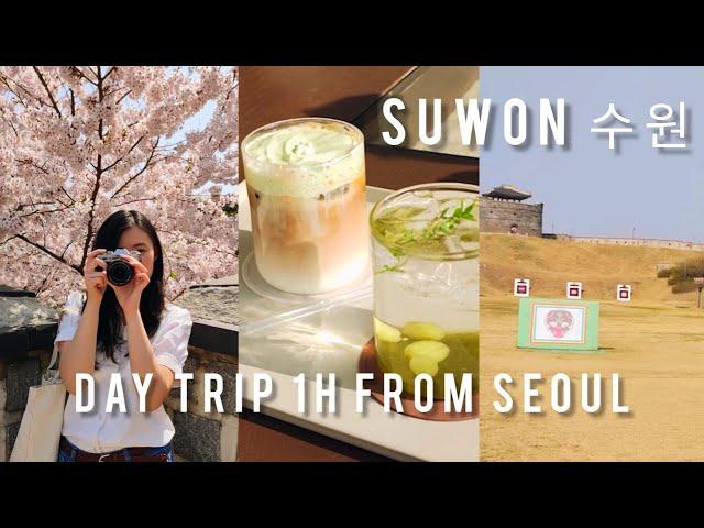  Spring in Korea  why you should go outside of Seoul & UNESCO | Day Trip to Suwon