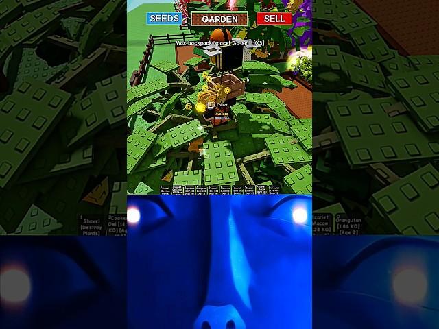 Pack Bee in Grow a garden is underrated  #GrowAGarden #fyp #shorts #viralvideos