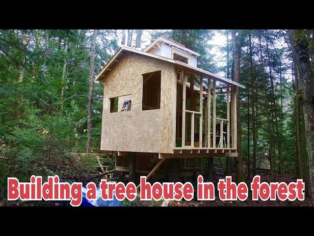 一個人開發建築三英畝度假屋之：Building a tree house in the forest #Part 1