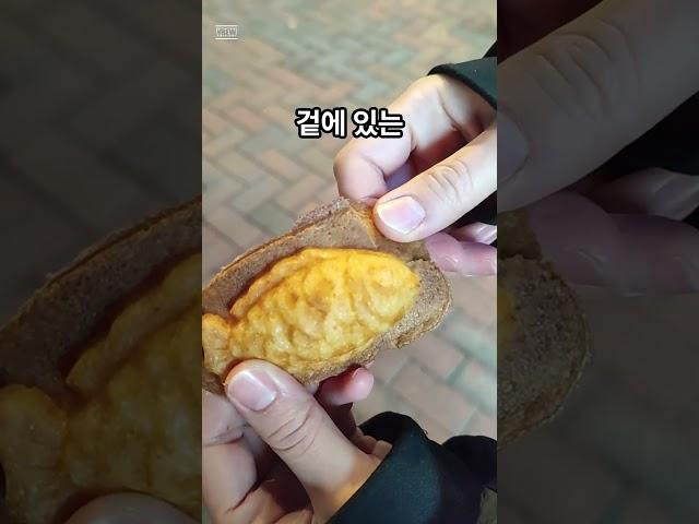 5개에 1,000원 붕어빵!? 줄 서서 먹는 대박 붕어빵집. "혜화 대학로 수정붕어빵"