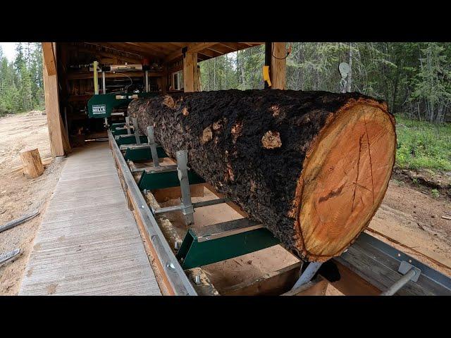 Would You MILL This LOG? Milling A Log BURNED In A Forest Fire On Our Woodland Mills Sawmill