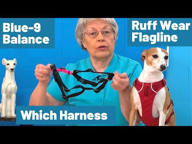 The Ruffwear Flagline Harness VS Blue-9 Balance Harness: Which Is Better For Your Dog