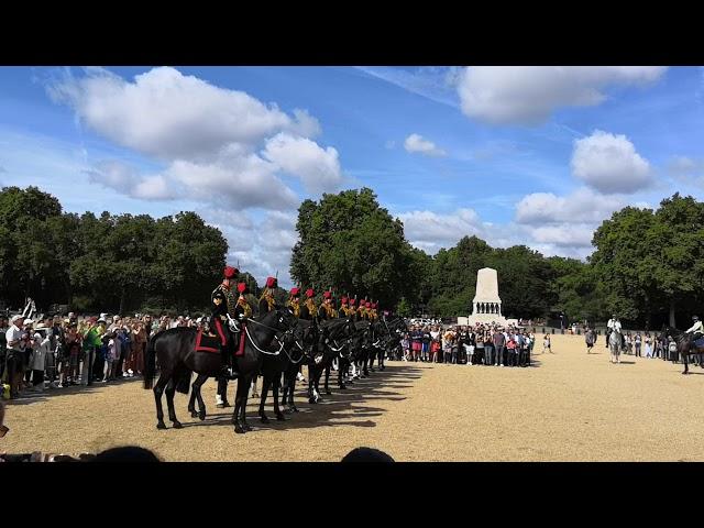 The King's Troop Royal Horse Artillery at the Change of the Lifeguard, July 2019