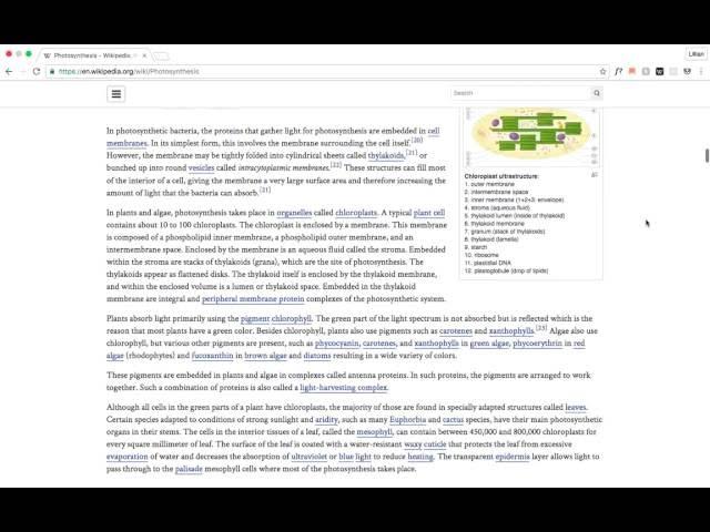 WikiReader