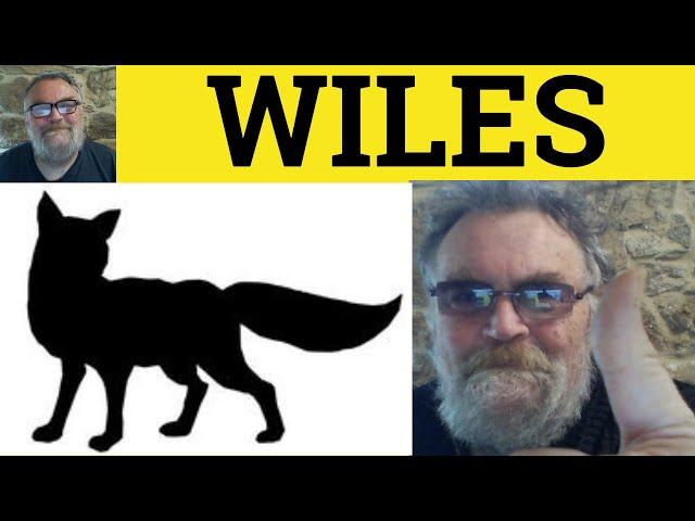  Wiles Meaning - Wily Examples - Wiles Definition - Describing People - Wile Wiles Wily