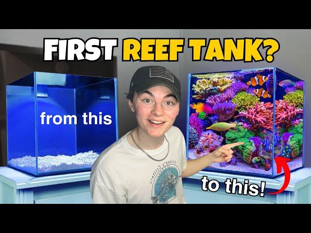 Setting up your FIRST SALTWATER AQUARIUM?