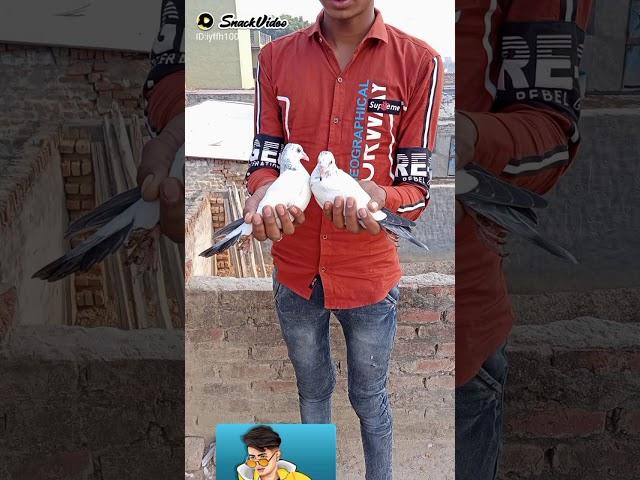 Jishan ansari(1)