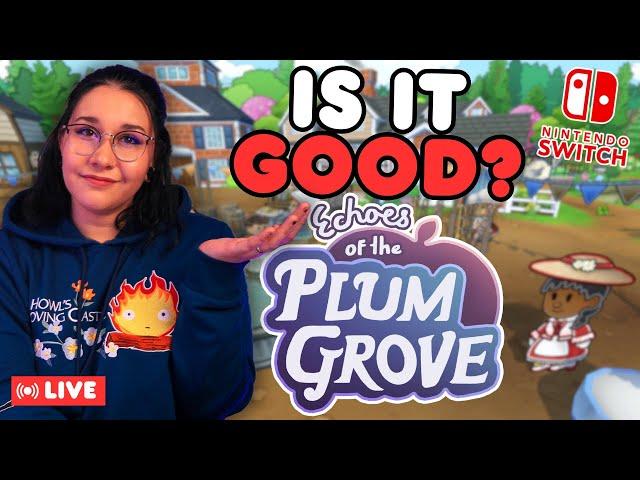 First 5 Hours of Echos of the Plum Grove