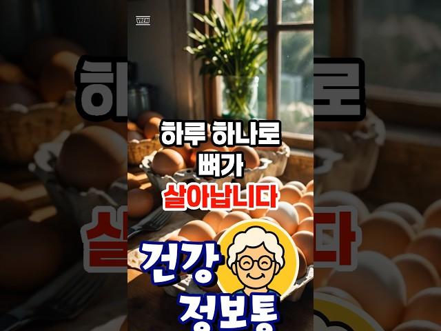 삶은 달걀의 효능, 뼈 건강에 좋은 이유는?