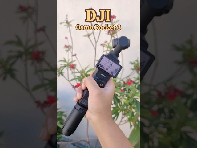 DJI Osmo Pocket 3 ki First Camera Testing #dji #djicamera #bestcamera #vloggingcamera #unboxing