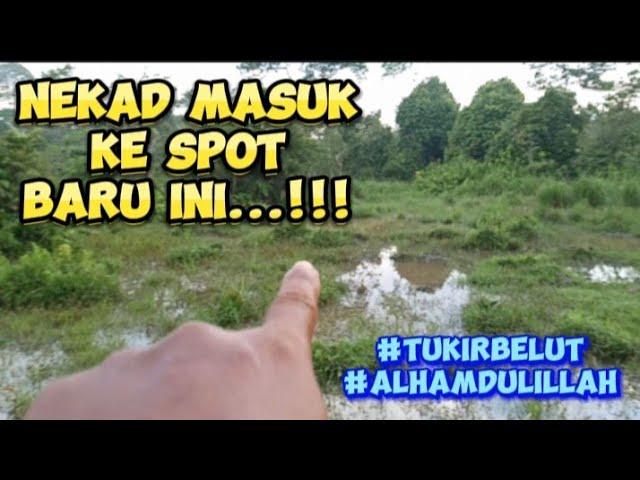 ADA BELUT KE..???.. lokasi cantik //spotbaru//tukirbelut//paya