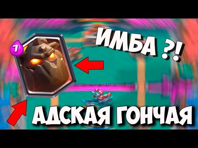 НЕПОБЕДИМАЯ АДСКАЯ ГОНЧАЯ (КОЛОДА) | CLASH ROYALE