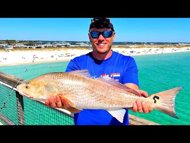 Saltwater Pier Fishing - Cooking Whatever We Catch!