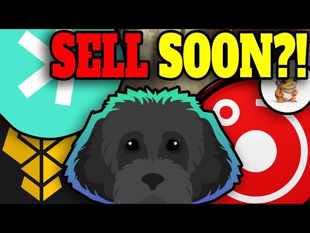 MARKET OVERVIEW: EARLY ALT COIN SEASON!? MYRO, RENDER, TURBO, PANGOLIN, KASPA & MORE!