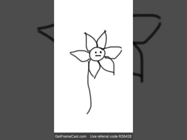 Flower- my first animation