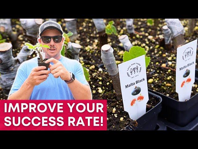 How to Root Fig Cuttings in Just Two Weeks! | FAST & EASY METHOD