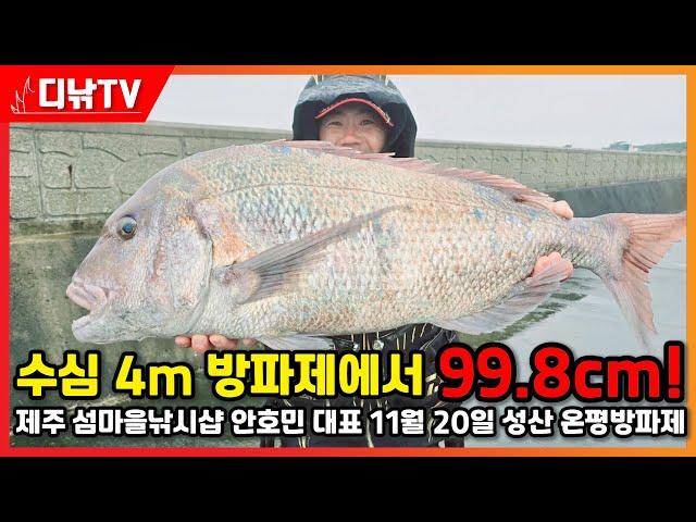 수심 4m 방파제에서 99.8cm 참돔! 제주 섬마을낚시샵 안호민 대표, 11월 20일 오후 1시경 성산 온평방파제에서 쾌거!