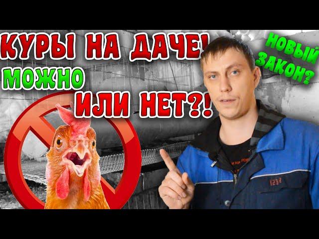 Россиянам ЗАПРЕТИЛИ держать КУР НА ДАЧЕ?! НОВЫЙ ЗАКОН?!