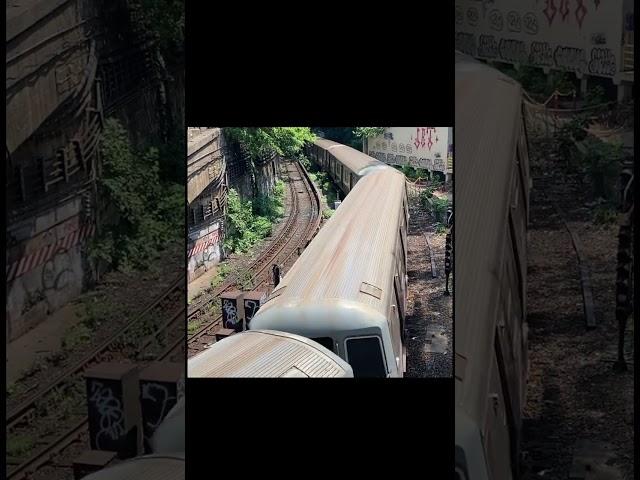 D train Turning at 38 Street Curve Open-Cut