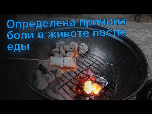 Определена причина боли в животе после еды