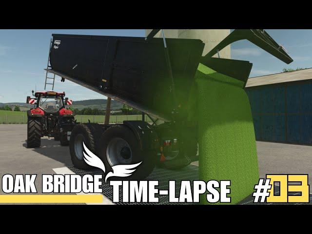 Finishing the pea harvest & drilling | Farming Simulator 25 Oak Bridge Farm Time-lapse [Part 3]