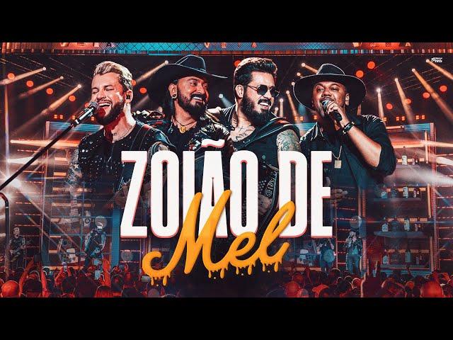 Traia Véia - Zoião de Mel | DVD Ao Vivo em São Paulo