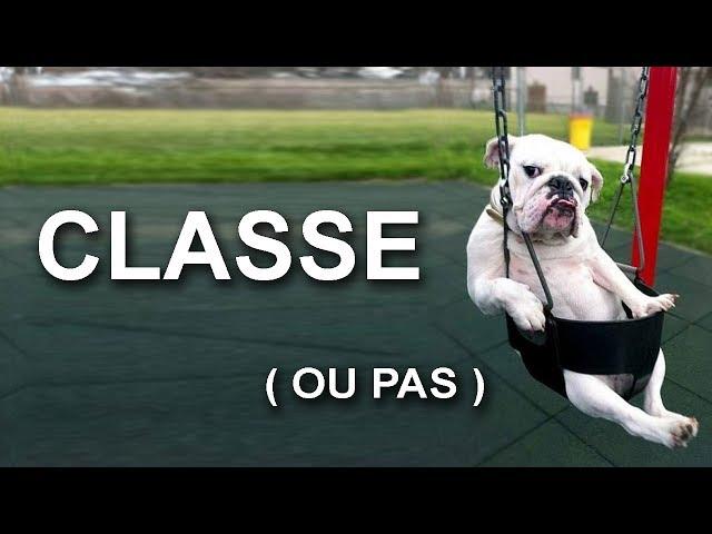 CLASSE PAS CLASSE  - PAROLE DE CHAT