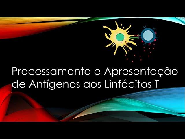 Processamento e Apresentação de Antígenos aos Linfócitos T / Ativação das células T / MHC