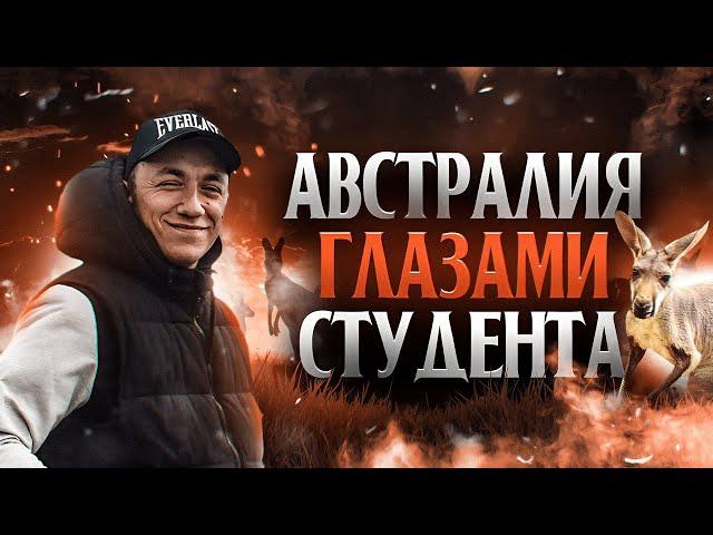 АВСТРАЛИЯ - которую вы НЕ ЗНАЕТЕ || Жизнь в Австралии глазами студента