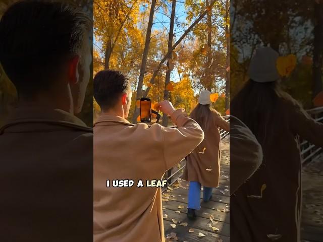 I used a leaf for this transition 