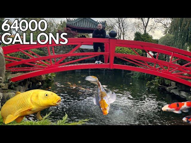 I VISIT the BIGGEST KOI POND in the UK