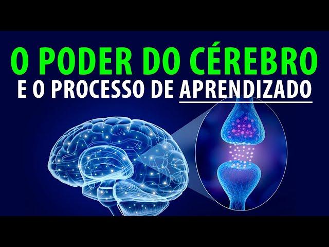 O Poder do Cérebro e o Processo de Aprendizado