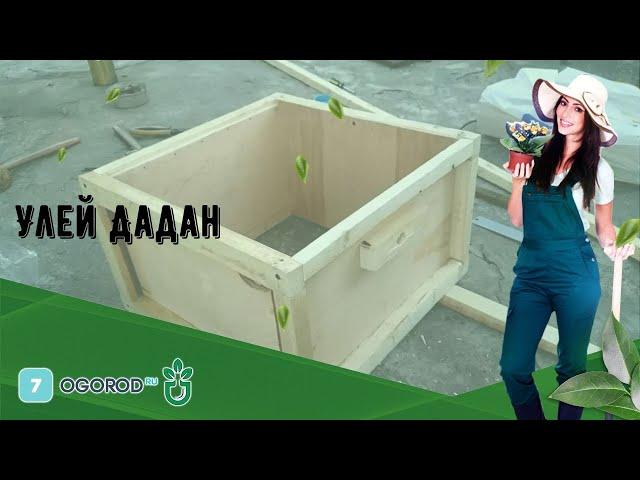 Улей Дадан