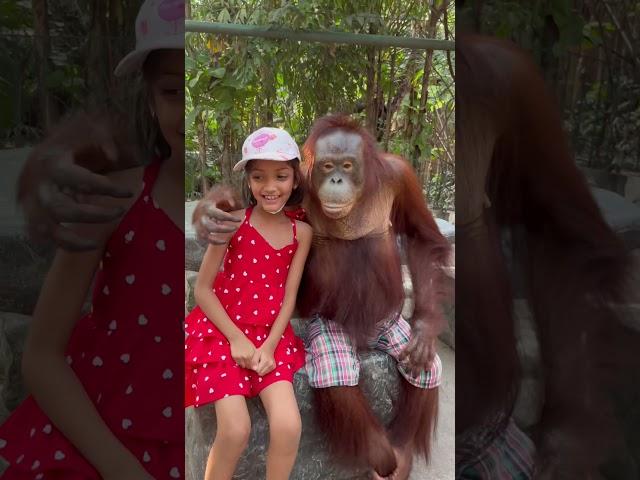 first experience with the famous orangutan. must visit!! bangkok thailand