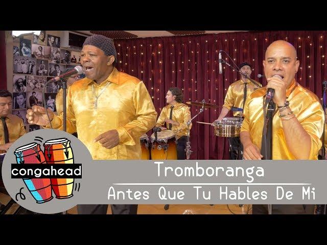 Tromboranga performs Antes Que Tu Hables De Mi